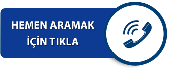 Masöz Linas whatsapp sohbet